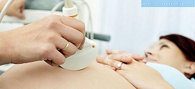 Die Plazenta und Probleme während der Schwangerschaft