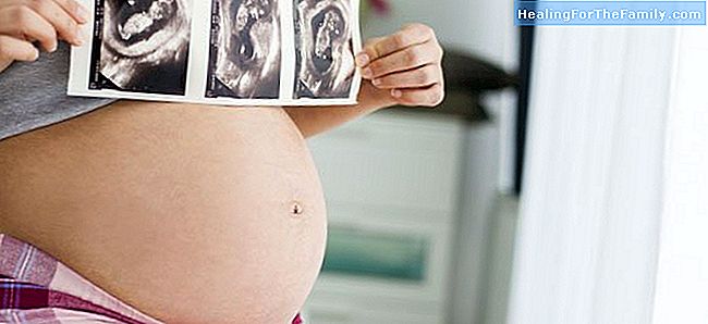 éChographie transvaginale au premier trimestre de la grossesse