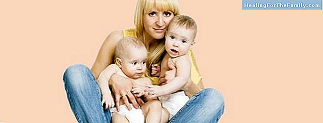 Zwillinge und Zwillinge. Schwangerschaft, Geburt und Pflege