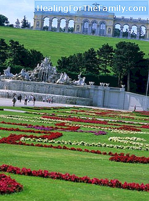 Monumentos para crianças em uma viagem a Viena