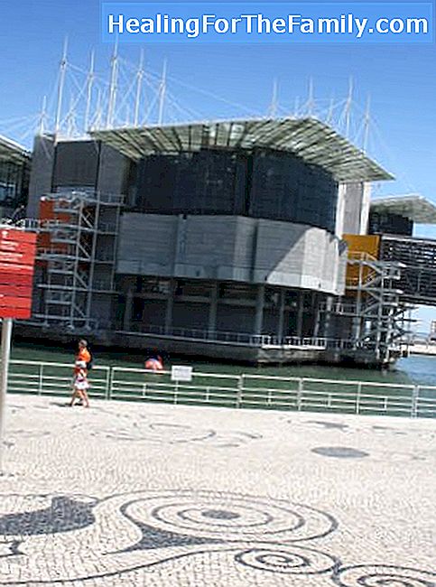 Musées à Lisbonne pour enfants et familles