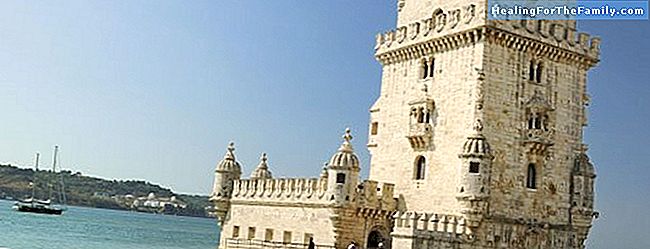 Travel to Lisbon with children. Guide for the whole family