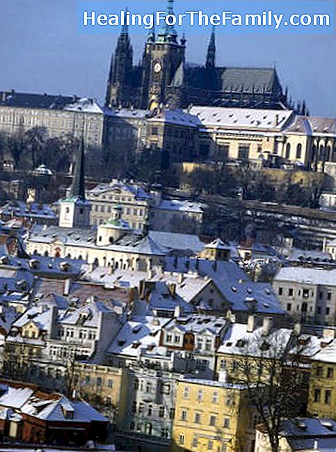 Ausflug nach Prag mit Kindern, Führer für die ganze Familie